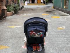 -同仁四季椰子鸡(罗湖国贸店)