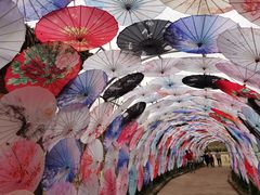 -渭南桃花源民俗文化园