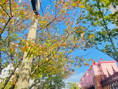 -永乐路-路侧停车场