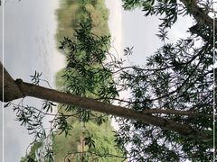 -西湖游船