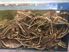 -宝燕海货工场(长江国际店)