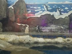 -梦幻海洋王国(吾悦广场张家港店)