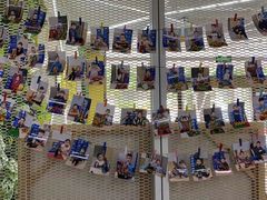 -格林米乐教育(安高广场中心店)