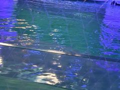 -愿者上钩(布吉老街店)