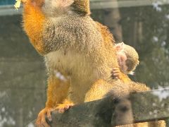 -秦皇岛野生动物园
