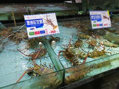 水产区-渔民新村(番禺总店)