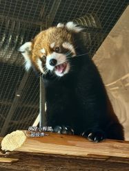 -Zoolung Zoolung动物主题公园(海信广场店)