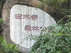 -白水寺森林公园