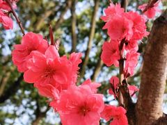 -南京市江宁方山