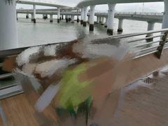 -演武大桥观景平台