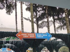 -海合安成都极地海洋公园