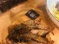 -日进一片海.生腌海鲜火锅.宵夜烧烤(三里屯总店)
