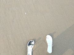 -北海金海湾红树林生态旅游区