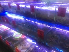 海鲜明档-金海湾海鲜排档(朱家尖店)