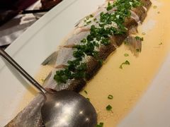 清蒸大白鱼-悦融·京鲁菜·露台花园(安定门店)