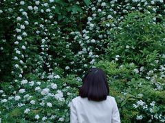 -府河摄影公园