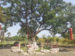 -嬉乐湾休闲旅游区