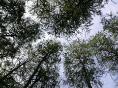 -月湖风景区