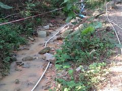 -火炉山森林公园
