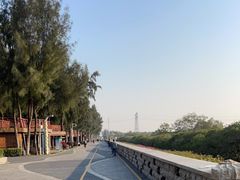 -宝安西湾红树林湿地公园