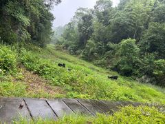 -飞天山旅游区