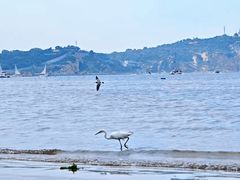 -蓬莱阁景区