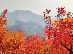 -周口店坡峰岭风景区