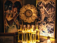 -雪灵魔法世界SHELLY’S TAROT(大良桂畔里店)
