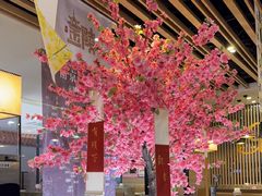 -黄记煌三汁焖锅(新世纪广场店)