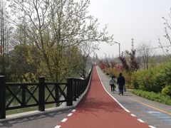 -上海长兴岛郊野公园