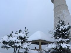 -悦海公园