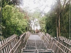 -福道