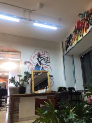 -竹马造型工作室