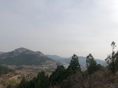 -佛慧山