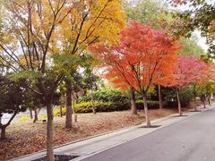 -石湖景区