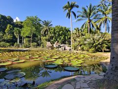 -中国科学院西双版纳热带植物园