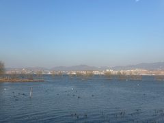 -洱海月湿地公园