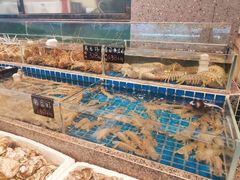 水产区-飞尝蚝·顺德菜·鱼生(顺德总店)