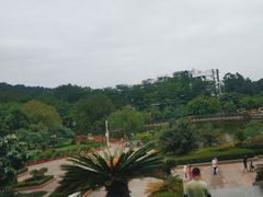 -大屏嶂森林公园