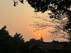 -杭州半山国家森林公园