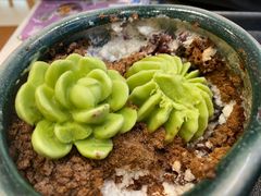-鲜芋仙(高新益田假日里店)