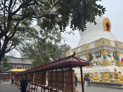 -护国法轮寺