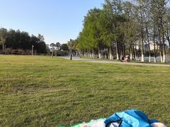 -南汇新城城市公园
