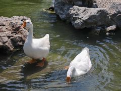 -祝家花園(伯渎港店)