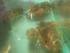 -和乐喜宴海鲜酒家(骏荣广场店)