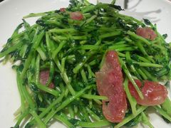 鸡油腊味炒豆苗-潮界(虹桥新天地店)