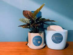 -Be Lived Cafe比例咖啡(摩天轮店)