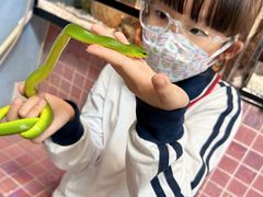 -逗柴町空中花园·雪橇三傻·柴犬柯基狗咖·猫咖·爬宠