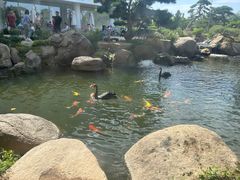 -罗红摄影艺术馆