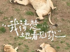 -青藏高原野生动物园